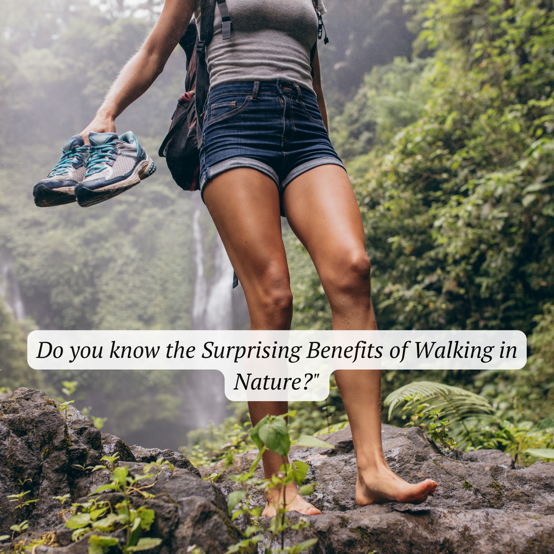 The Benefits of Walking in the Woods